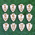 Twelve Month Baby Milestones - National Park Service Wood Signs