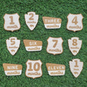 Twelve Month Baby Milestones - Outdoor Mix Design