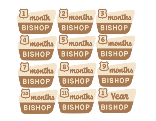 Twelve Month National Forest Sign Baby Milestones - Personalized