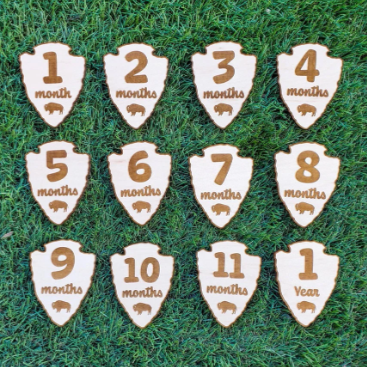 Twelve Month Baby Milestones - National Park Service Wood Signs