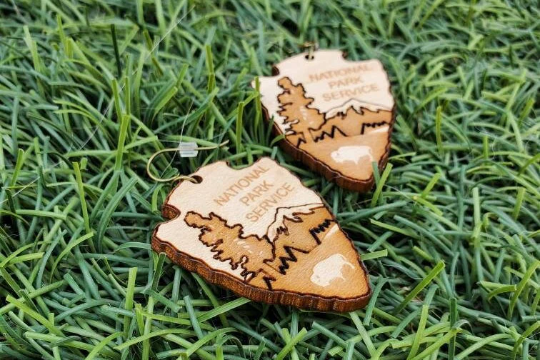 National Park Service Wood Earrings
